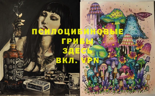 apvp Аркадак