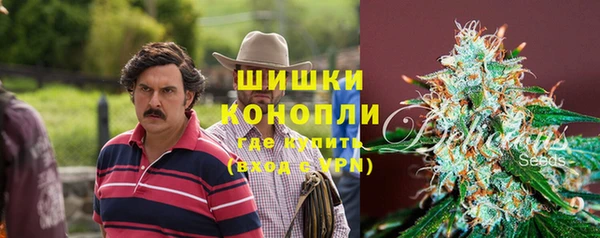 apvp Аркадак