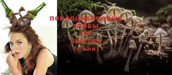 a pvp Арсеньев