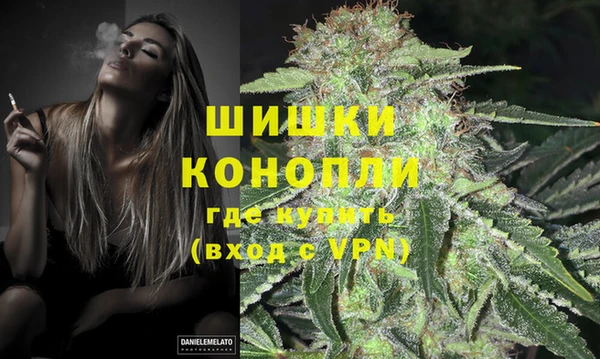 apvp Аркадак